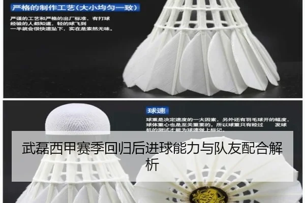武磊西甲赛季回归后进球能力与队友配合解析（shaba）